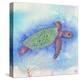 Bright Sea turtle-Kimberly Glover-Premier Image Canvas