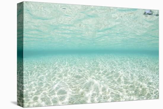 Bright Sunlight Dances across a Shallow Sand Seafloor in Palau-Stocktrek Images-Premier Image Canvas