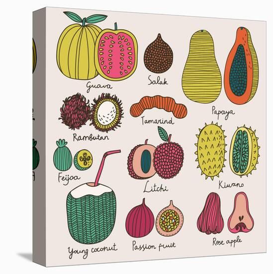 Bright Tropical Fruit Set in Vector. Guava, Salak, Papaya, Rambutan, Tamarind, Feijoa, Litchi, Kiwa-smilewithjul-Stretched Canvas