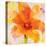 Bright Tulips II-Albena Hristova-Stretched Canvas