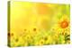 Bright Yellow Sunflowers and Sun-frenta-Premier Image Canvas