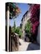 Brightly Coloured Flowers in Village Street, Grimaud, Var, Cote d'Azur, Provence, France, Europe-Ruth Tomlinson-Premier Image Canvas