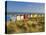 Brightly Painted Beach Huts, Rear View, in Afternoon Sunshine Below Gun Hill, Suffolk, England-Neale Clark-Premier Image Canvas