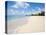 Brighton Beach, Barbados, Windward Islands, West Indies, Caribbean, Central America-Michael DeFreitas-Premier Image Canvas