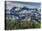 Brighton Ski Resort from Guardsman's Pass Road-Howie Garber-Premier Image Canvas