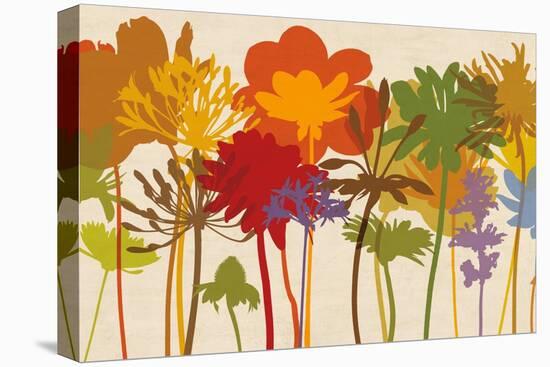 Brilliant Bloom-Erin Lange-Stretched Canvas