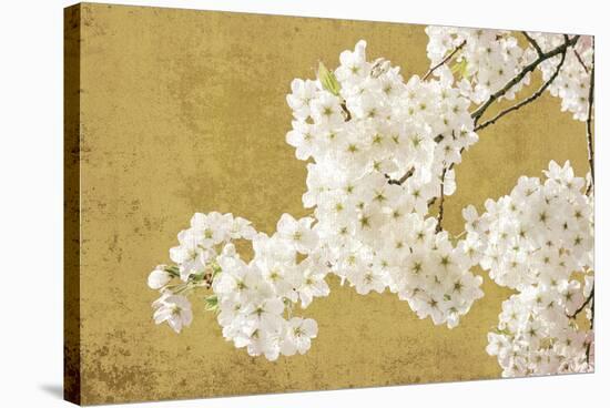 Brilliant Blossom-Ella Lancaster-Stretched Canvas