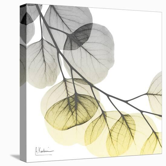 Brilliant Eucalyptus 2-Albert Koetsier-Premier Image Canvas