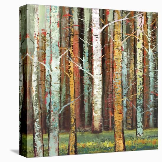 Brilliant Forest 1-Julie Joy-Stretched Canvas