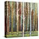 Brilliant Forest 2-Julie Joy-Stretched Canvas