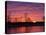 Brilliant Sunset Reflects into the Calamus River in Loup County, Nebraska, USA-Chuck Haney-Premier Image Canvas