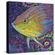 Brilliant Tropical Fish I-Carolee Vitaletti-Stretched Canvas