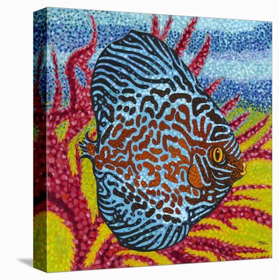 Brilliant Tropical Fish II-Carolee Vitaletti-Stretched Canvas