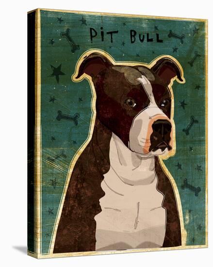 Brindle Pit Bull-John Golden-Stretched Canvas