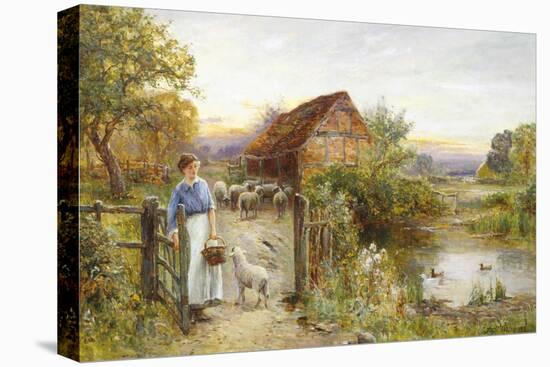 Bringing Home the Sheep-Ernest Walbourn-Premier Image Canvas