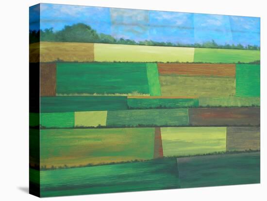 Britainy Fields-Herb Dickinson-Premier Image Canvas