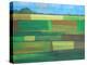 Britainy Fields-Herb Dickinson-Premier Image Canvas