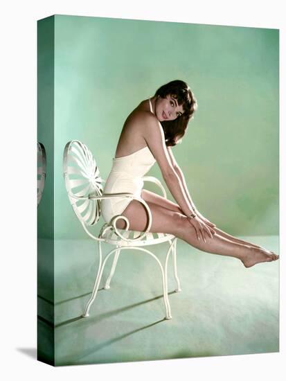 British actress Joan Collins 1956 (photo)-null-Stretched Canvas