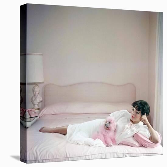 British actress Joan Collins in a pink bedroom with a pink toy poodle (photo)-null-Stretched Canvas