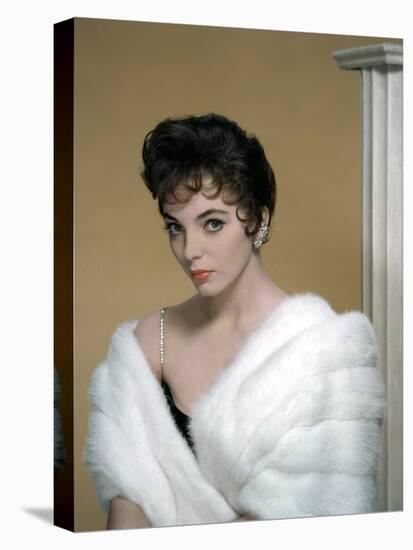 British actress Joan Collins in the 50's (photo)-null-Stretched Canvas