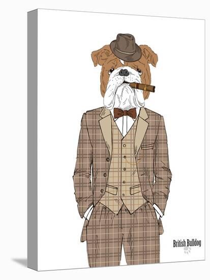 British Bulldog in Tweed Suit-Olga Angellos-Stretched Canvas