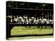 British Bulldog Puppies on a Park Bench, 1994-null-Premier Image Canvas