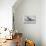 British European Airways 'Elizabethan' Class Aeroplane, 20th Century-null-Premier Image Canvas displayed on a wall