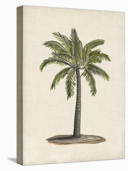 British Palms I-Naomi McCavitt-Stretched Canvas