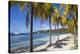 Brittania Bay beach, Mustique, The Grenadines, St. Vincent and The Grenadines-Jane Sweeney-Premier Image Canvas