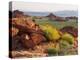 Brittlebush and Sandstone, Valley of Fire State Park, Nevada, USA-Scott T^ Smith-Premier Image Canvas