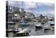 Brixham Harbour, Devon, England, United Kingdom, Europe-Rob Cousins-Premier Image Canvas
