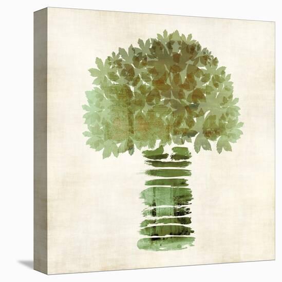 Broccoli-Kristin Emery-Stretched Canvas