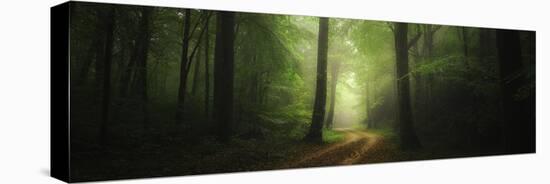 Broceliande, Bretagne - France-Philippe Manguin-Premier Image Canvas