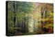 Brocéliande colored forest-Philippe Manguin-Premier Image Canvas