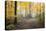 Broceliande Forest Fall-Philippe Manguin-Premier Image Canvas