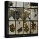 Broken Window With Flowers Growing-Fay Godwin-Premier Image Canvas