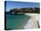 Bronte Beach, Sydney, Australia-David Wall-Premier Image Canvas