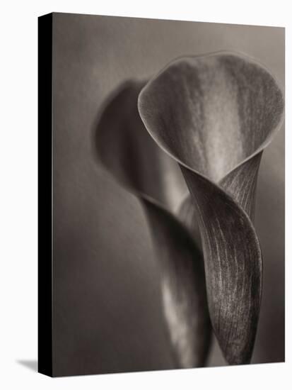 Bronze Calla Lily - 2-James M. Hunt-Premier Image Canvas