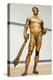 Bronze Statue of Hercules-null-Premier Image Canvas