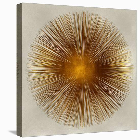 Bronze Sunburst I-Abby Young-Stretched Canvas