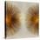 Bronze Sunburst II-Abby Young-Stretched Canvas