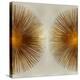 Bronze Sunburst II-Abby Young-Stretched Canvas