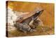 Bronzed frog / Common Wood Frog, Sri Lanka-Chris Mattison-Premier Image Canvas