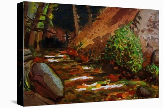 Brook at Kit Carson State Forest-John Newcomb-Premier Image Canvas