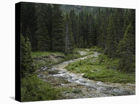 Brook in the Vallesinella Valley, Brenta Adamello Nature Reserve, Trentino-Rainer Mirau-Premier Image Canvas