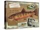 Brook Trout-Kate Ward Thacker-Premier Image Canvas