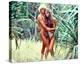 Brooke Shields - The Blue Lagoon-null-Stretched Canvas