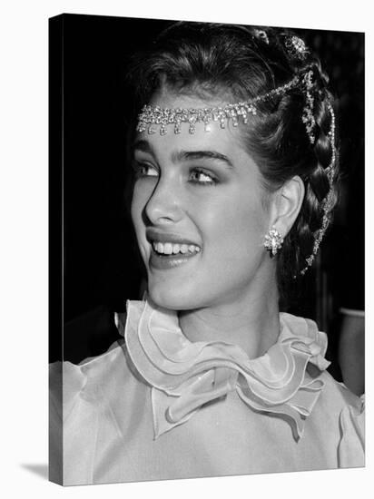 Brooke Shields-null-Premier Image Canvas