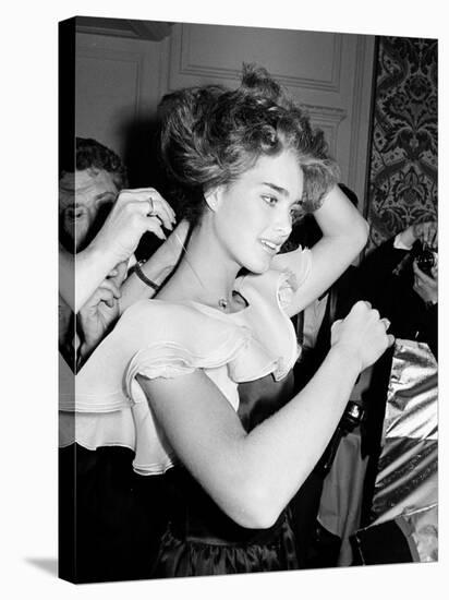 Brooke Shields-null-Premier Image Canvas