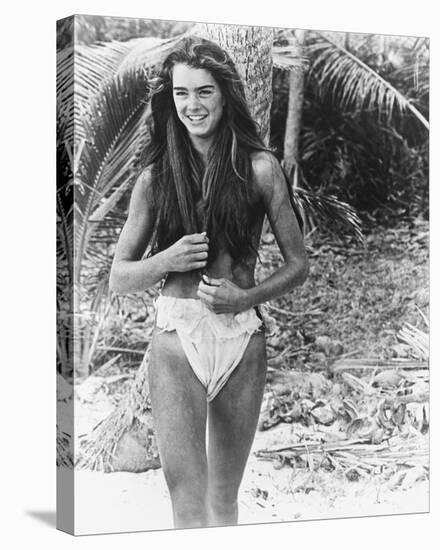 Brooke Shields-null-Stretched Canvas